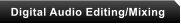 Digital Audio Editing/Mixing